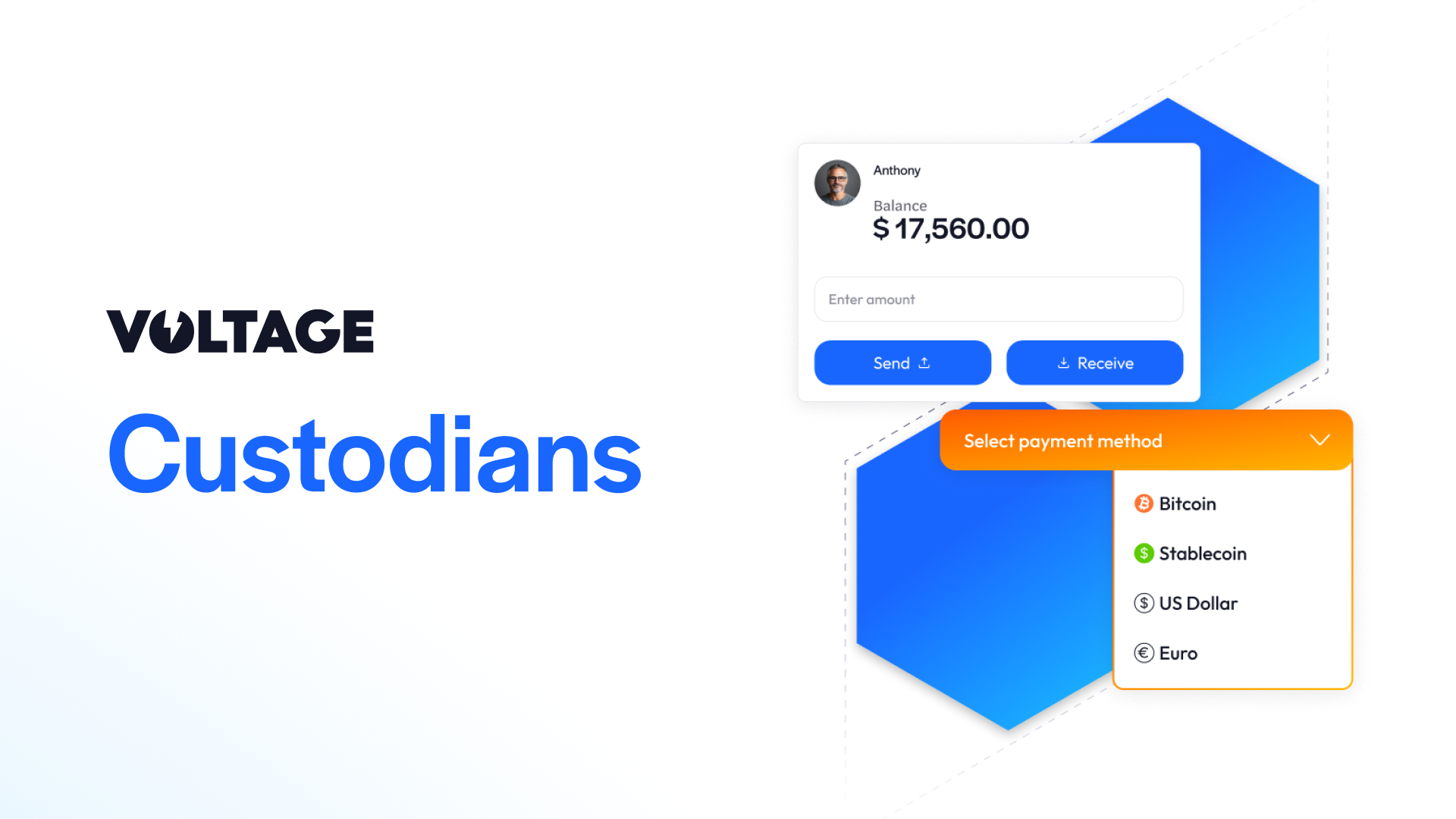 Custodians | Voltage