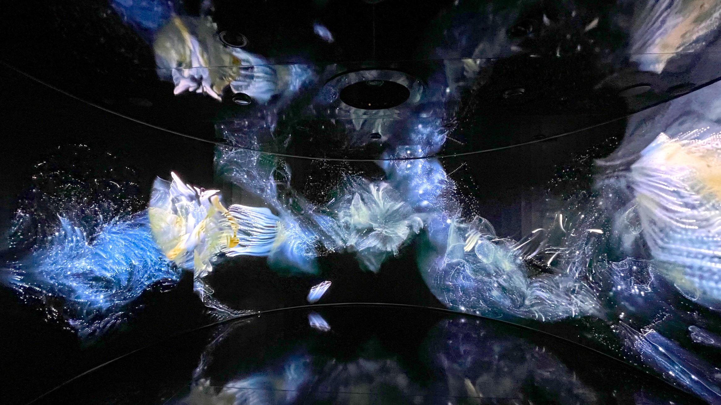 Wayfarer 3.0 by Dr. Weidi Zhang