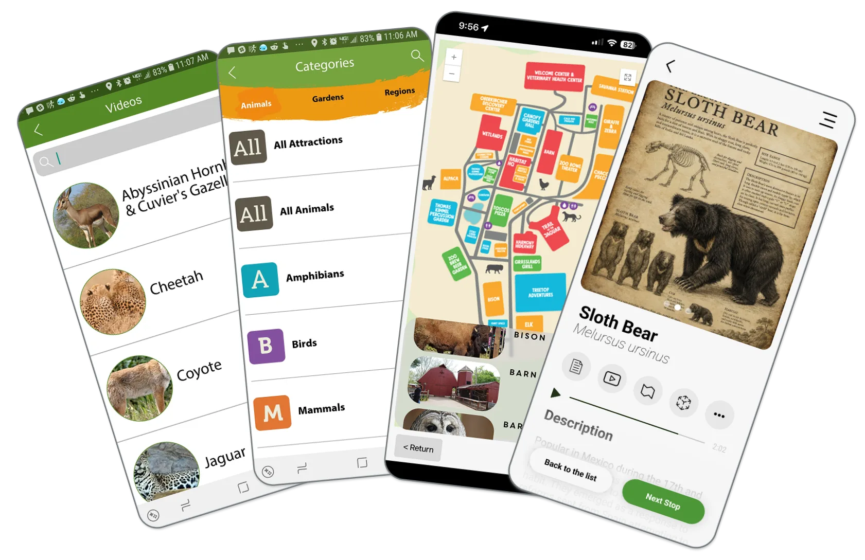 Four Guru Museum app screens showing zoo animal videos, categories, a zoo map, and sloth bear info.