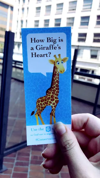 A hand holds a printed card asking "How Big is a Giraffe's Heart?" next to a cartoon giraffe, pointing visitors to the answer in the Guru app's augmented reality.