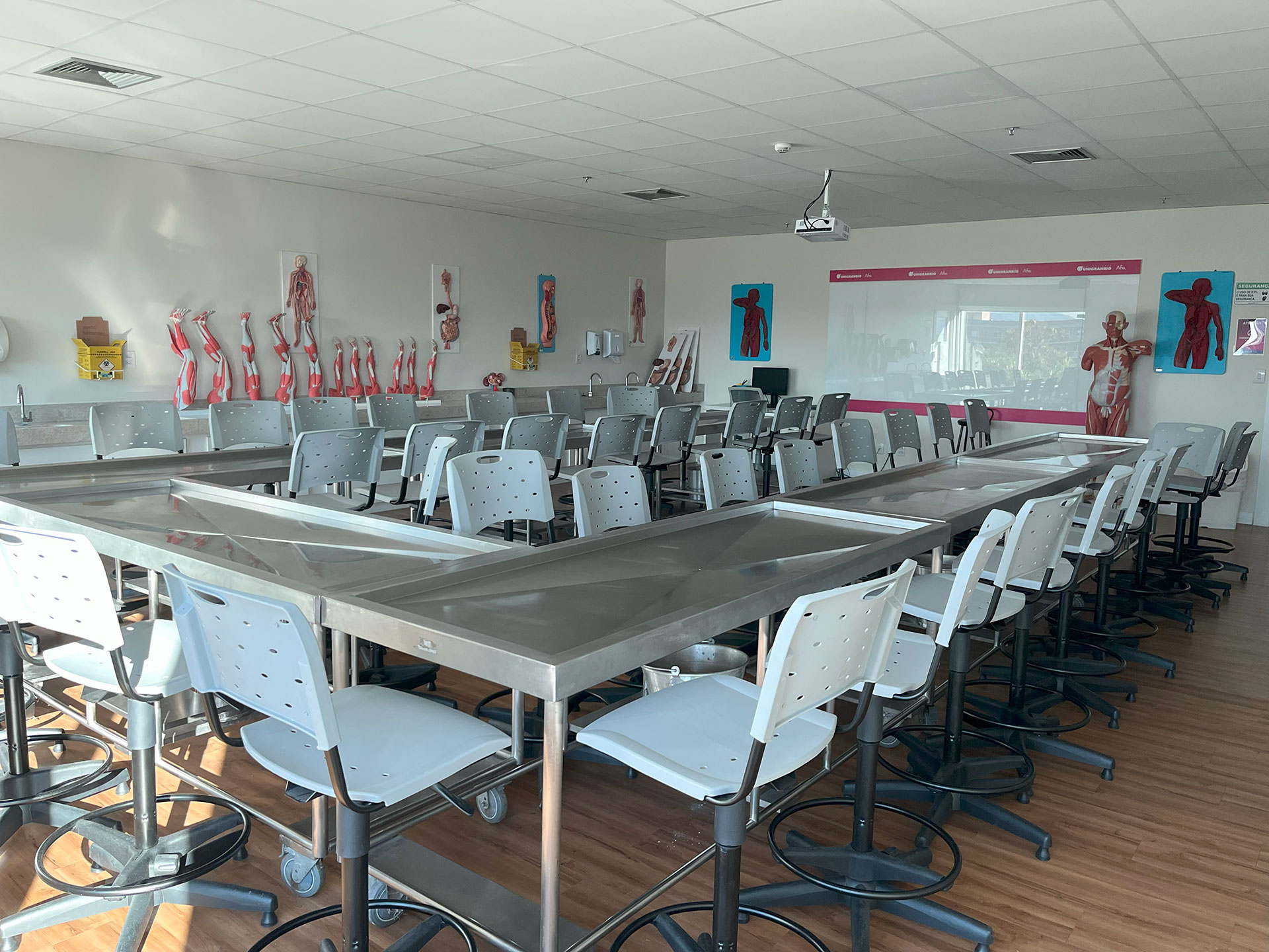 Estúdio de Treinamento Física 