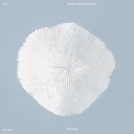 Common design agency - MAO project