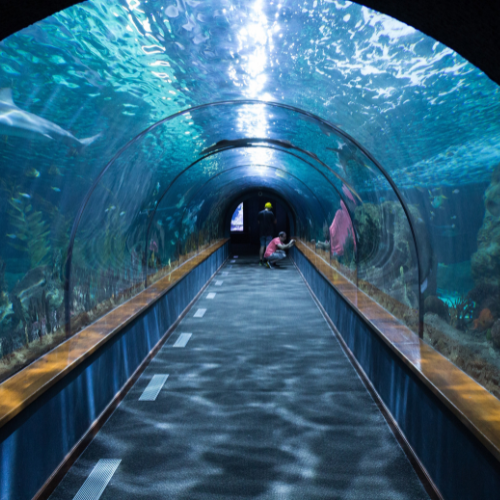 acuario de santa marta