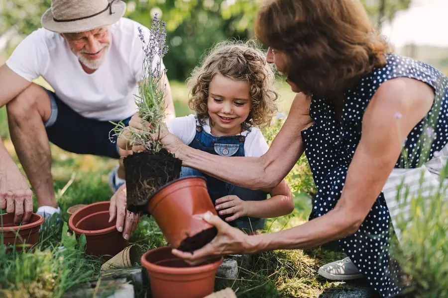 15 Common Family Farm Estate Planning Mistakes & How to Avoid Them