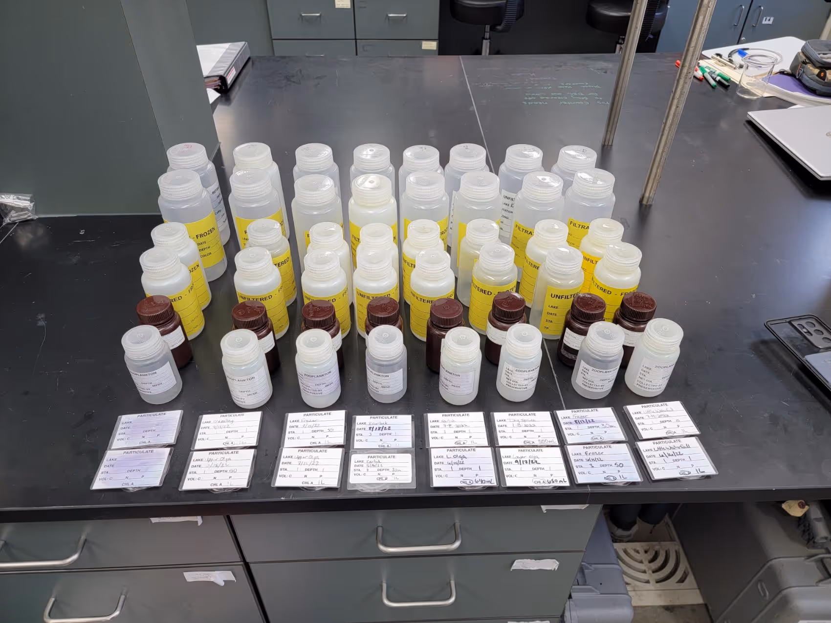 Rows of labeled plastic bottles and containers with yellow and white labels arranged on a black lab table, accompanied by handwritten data cards in front of them.