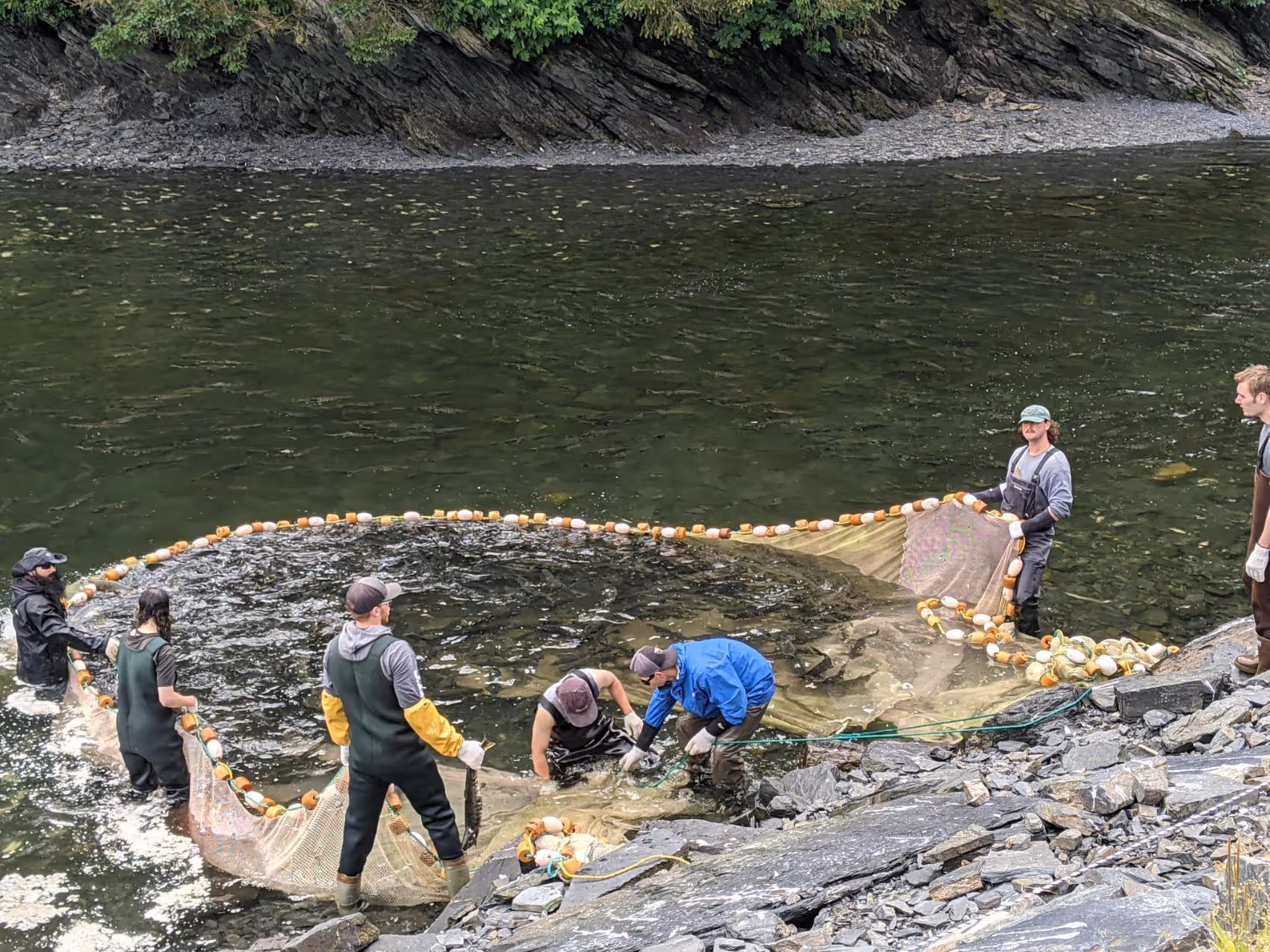Six people standing in shallow water near a rocky shore holding a large fishing net with floats, appearing to catch fish.