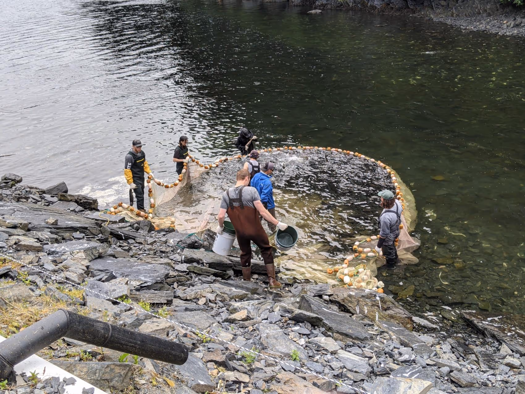 Group of people standing in shallow water near rocky shore holding a large circular fishing net.