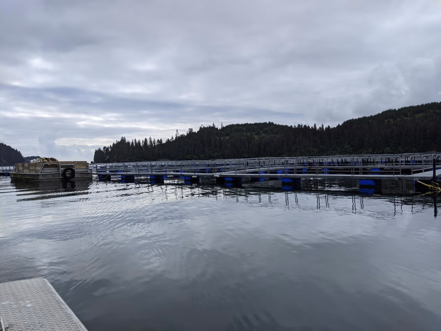 Large fish farming cages floating on calm water near a forested shoreline under cloudy sky.