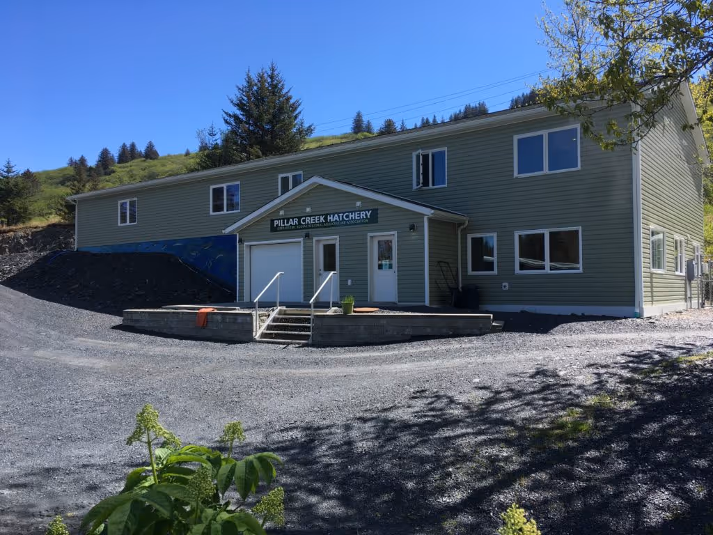 Green building with sign 'Pillar Creek Hatchery' surrounded by gravel driveway and hillside trees under clear blue sky.