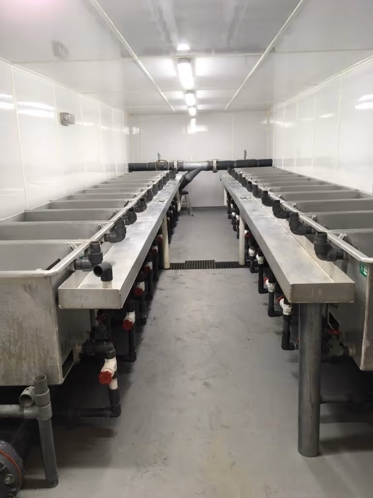 Room with two long rows of stainless steel tanks or troughs connected by black pipes and valves underneath.
