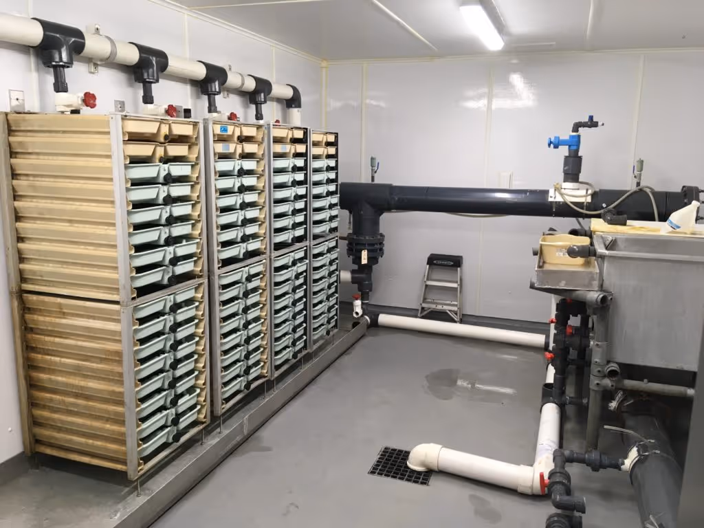 Indoor aquaculture system with multiple trays and interconnected piping in a clean, gray room.