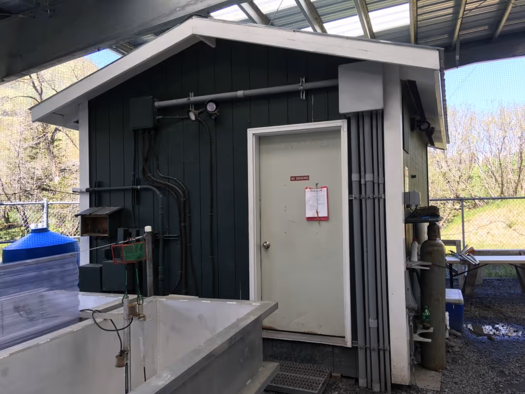 Small green utility shed with a white door labeled No Smoking, surrounded by pipes, cables, and industrial equipment under a metal roof.