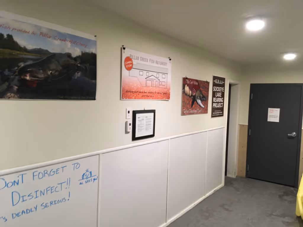 Indoor hallway with posters about Pillar Creek Fish Hatchery and a whiteboard reminding to disinfect with message 'It's deadly serious!'