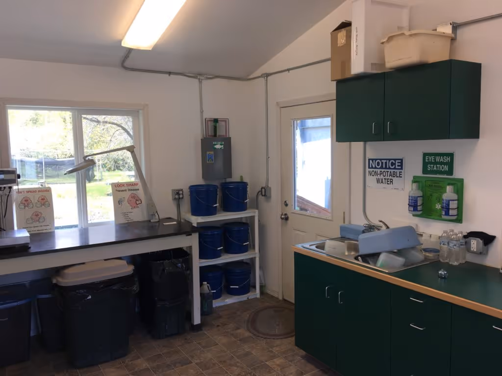 Interior room with green cabinets, a sink with stacked trays, an eye wash station on the wall, and blue buckets on white shelves next to a door and window.