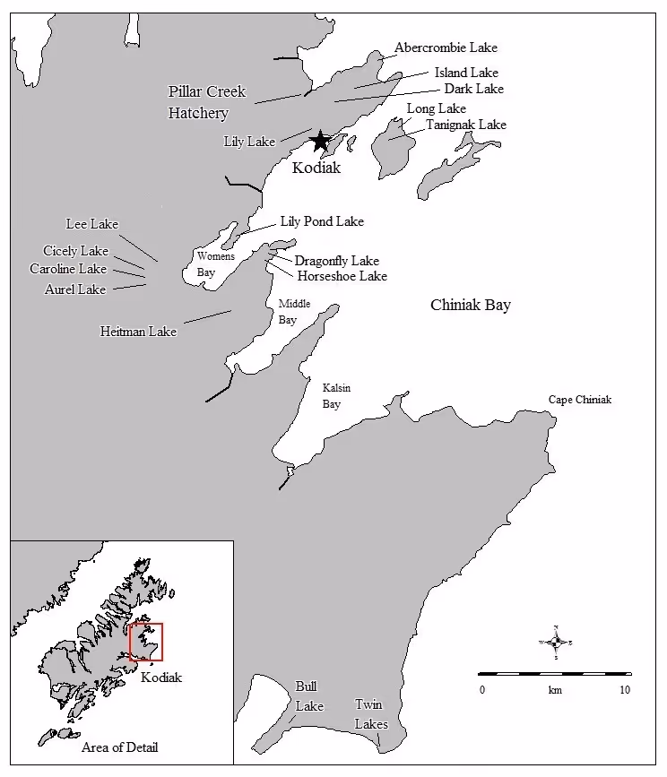 Map showing Kodiak and surrounding lakes and bays including Pillar Creek Hatchery, Lily Lake, Abercrombie Lake, Island Lake, Dark Lake, Long Lake, Tanignak Lake, Lee Lake, Cicely Lake, Caroline Lake, Aurel Lake, Heitman Lake, Dragonfly Lake, Horseshoe Lake, Lily Pond Lake, Chiniak Bay, Kalsin Bay, Bull Lake, Twin Lakes, and Cape Chiniak, with a scale bar and inset of area location.