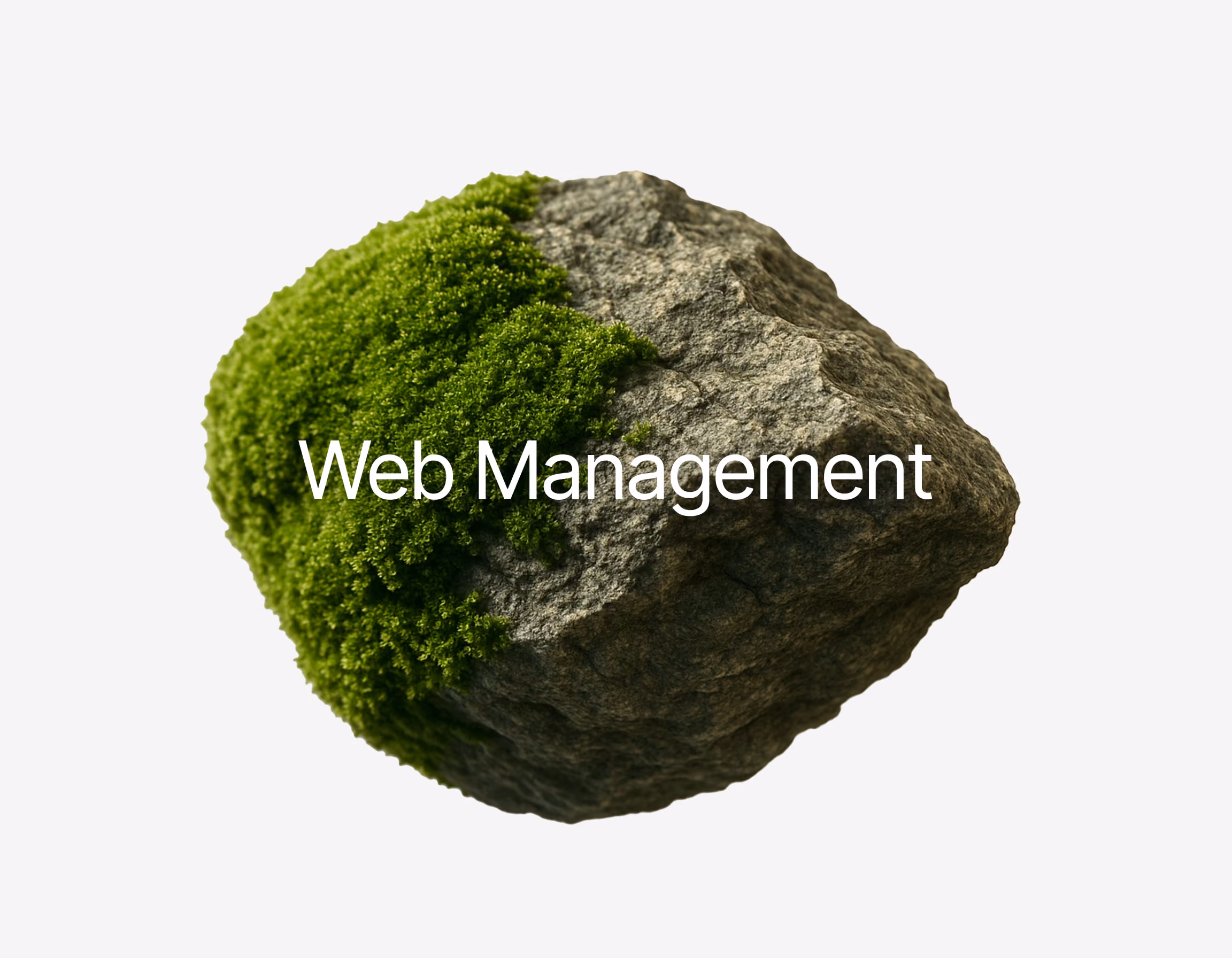 Service Image