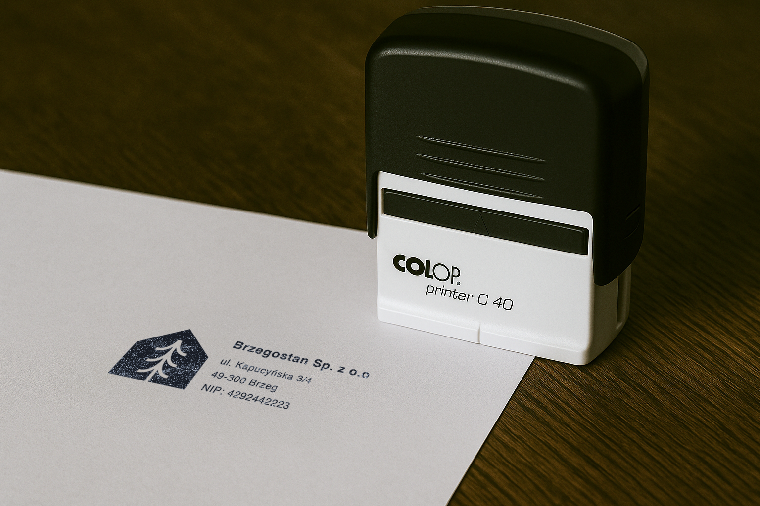 Business card and phone mockup – Brzegostan visual identity by Recreate