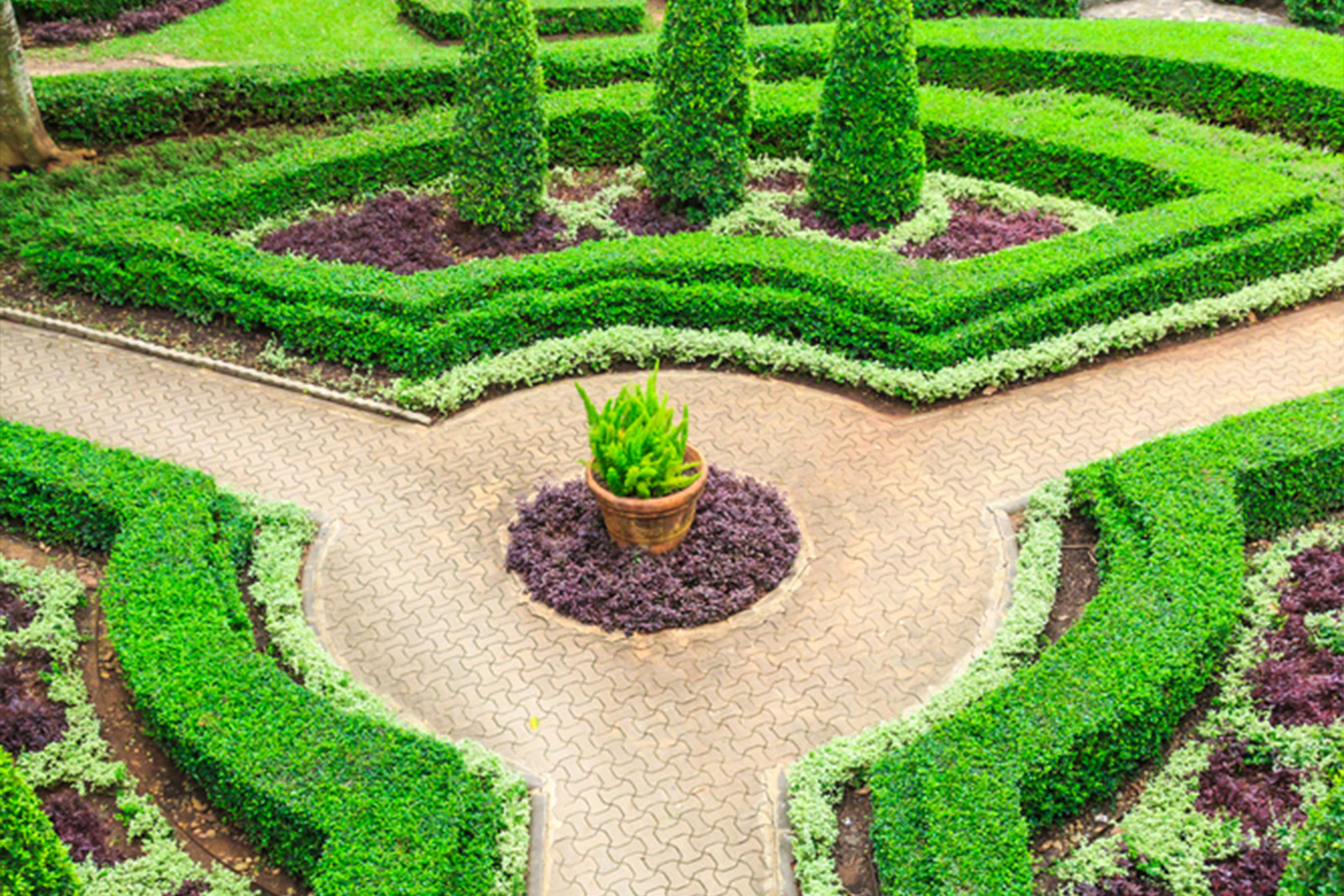 Boxwoods and evergreens strategically planted to frame walkways to different areas of the property.