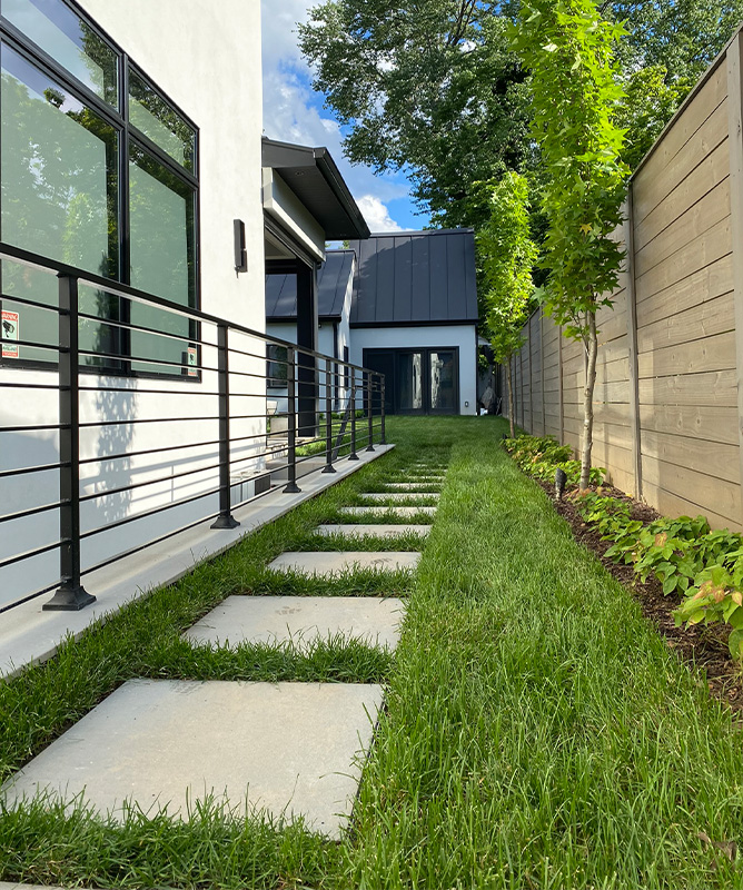 The plant material in this backyard were thoughtfully and specifically selected to fill out this backyard with texture, structure, and year-round presence.