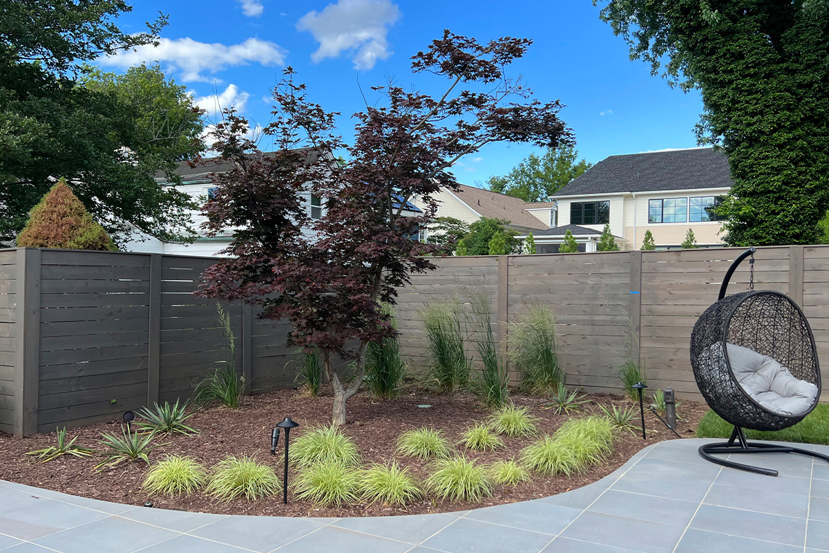 The plant material in this backyard were thoughtfully and specifically selected to fill out this backyard with texture, structure, and year-round presence.