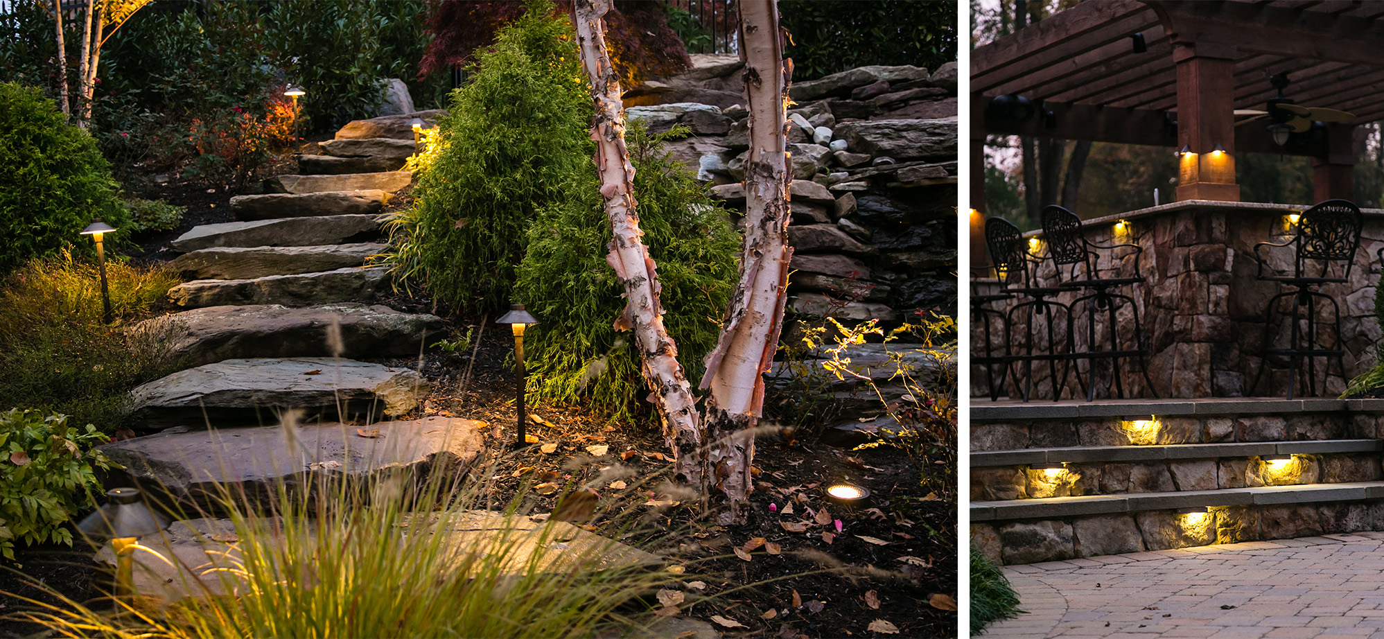 Path lighting illuminates the stairs and stone pathway surrounded by beautiful greenery and plant life. This project was designed and built by Rossen Landscape.