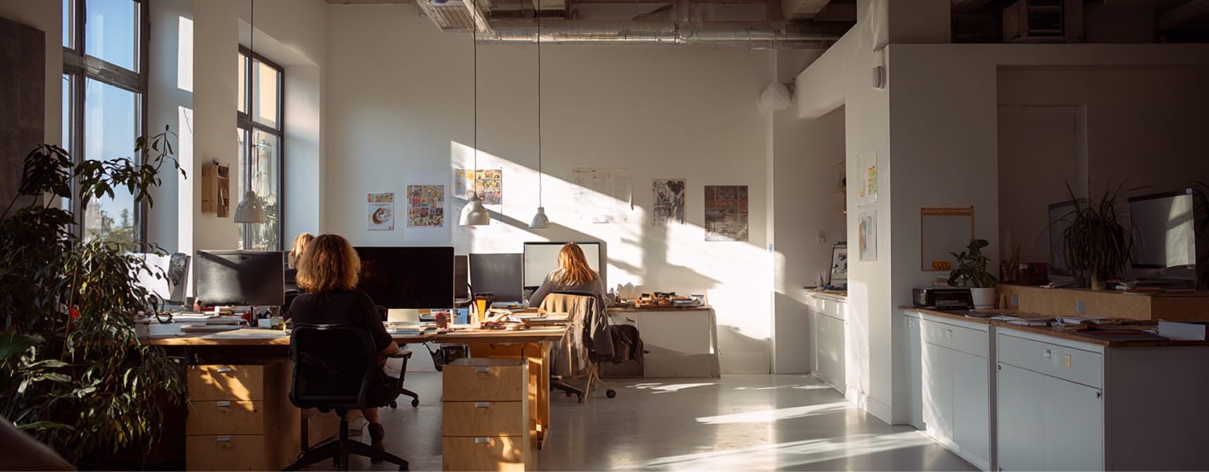 Two people working at desks with computers in a sunlit modern office with large windows and plants.