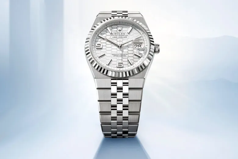 rolex land-dweller watches - langfords jewellers
