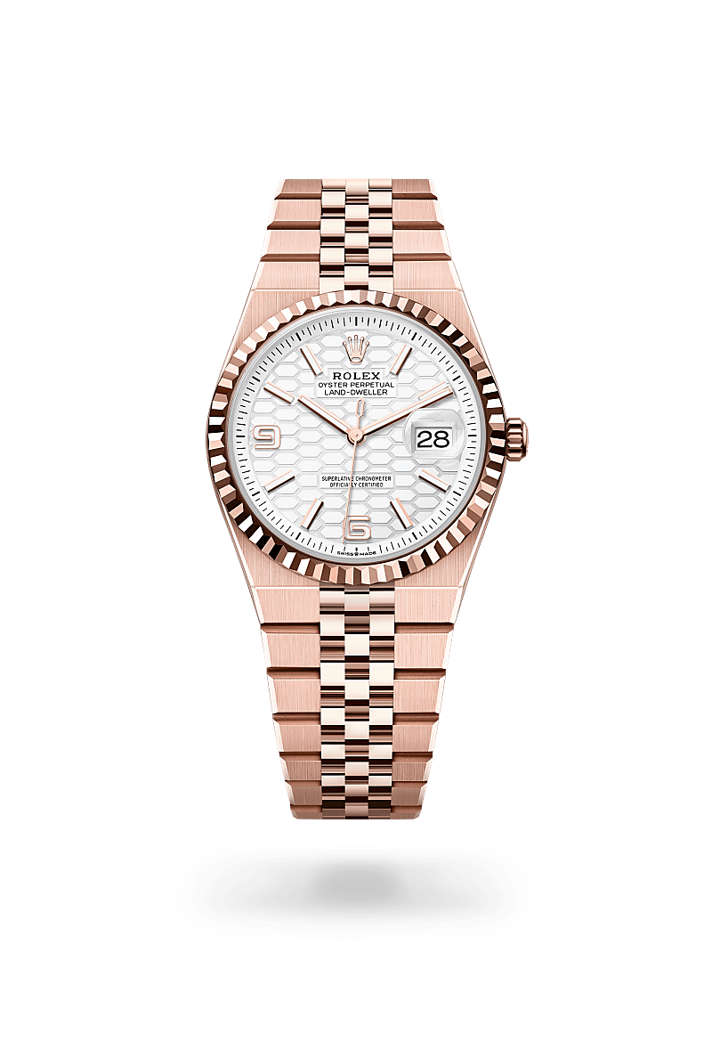 Rolex Land-Dweller in 18 ct Everose gold, m127235-0001 - Langfords Jewellers