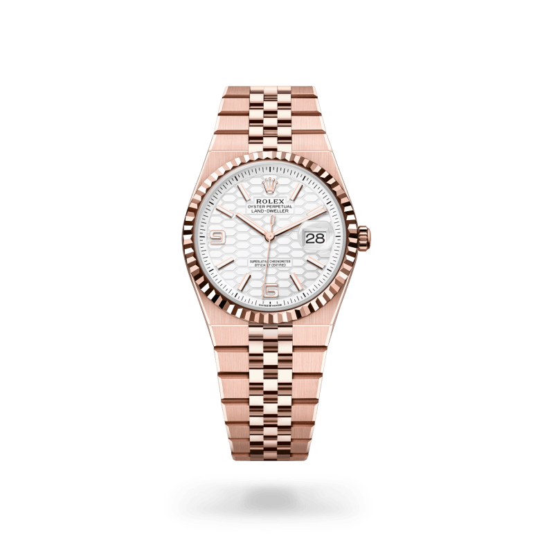 Rolex Land-Dweller in 18 ct Everose gold, m127235-0001 - Langfords Jewellers