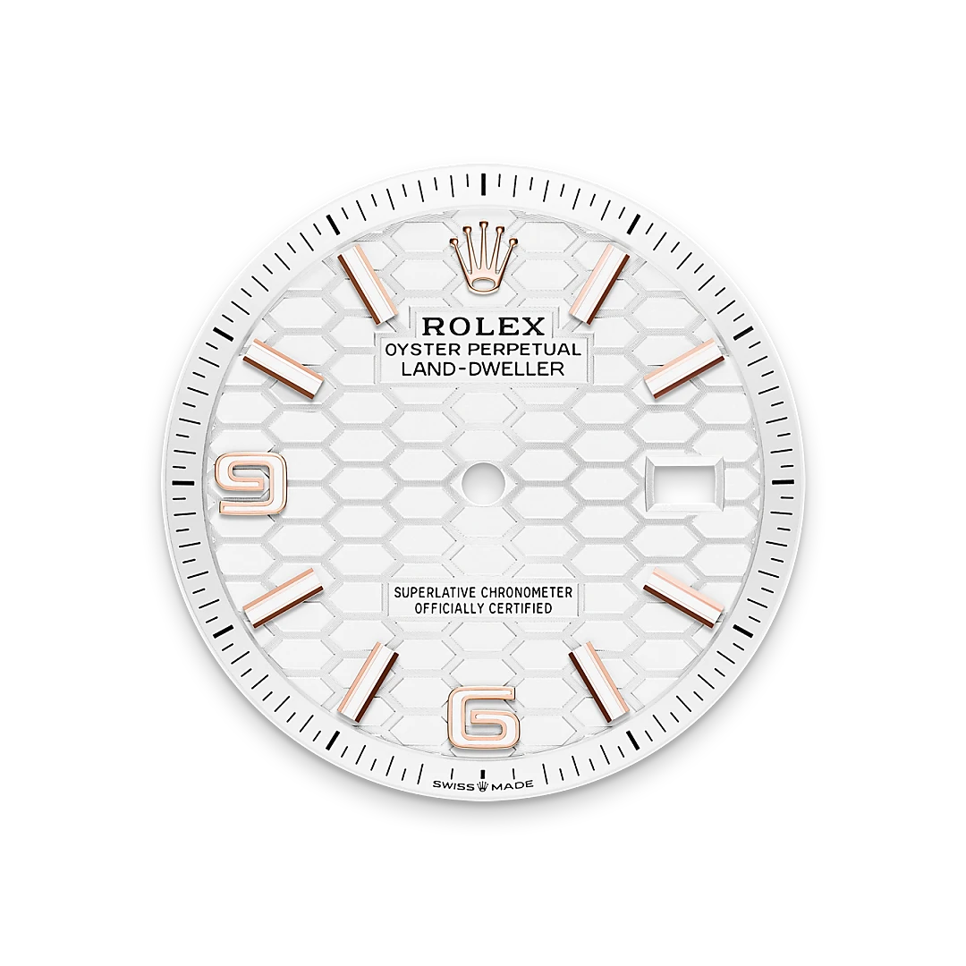 Rolex Land-Dweller, M127235-0001 bezel - Langfords Jewellers