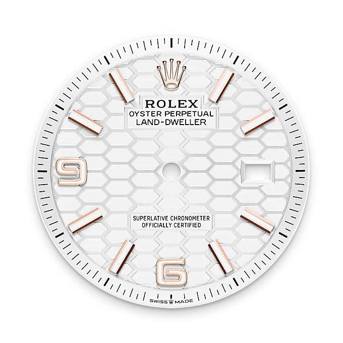 Rolex Land-Dweller, M127235-0001 bezel - Langfords Jewellers