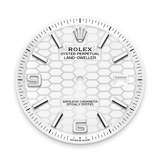 Rolex Land-Dweller, M127334-0001 bezel - Langfords Jewellers