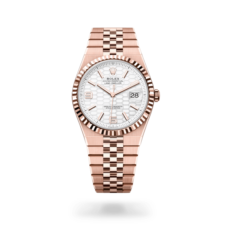 Rolex Land-Dweller in 18 ct Everose gold, m127335-0001 - Langfords Jewellers