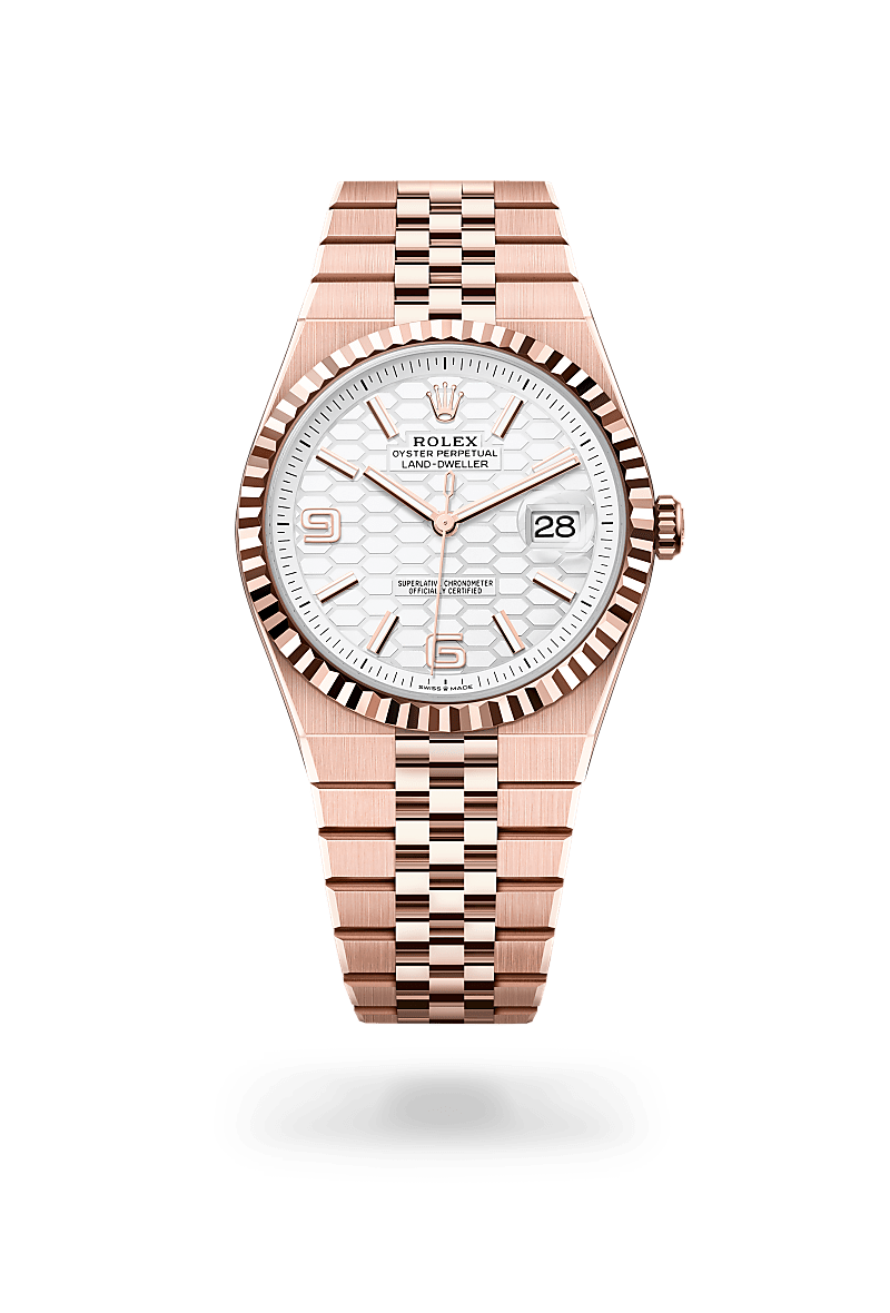Rolex Land-Dweller in 18 ct Everose gold, m127335-0001 - Langfords Jewellers