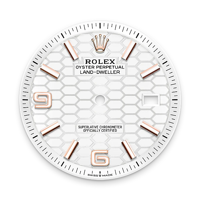 Rolex Land-Dweller, M127335-0001 bezel - Langfords Jewellers