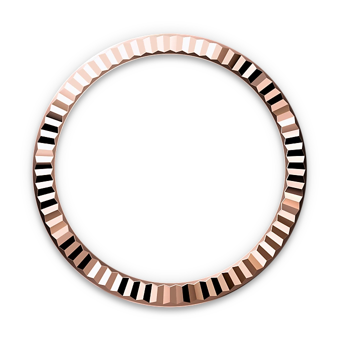 Rolex Lady-Datejust, M279171-0028 dial - Langfords Jewellers