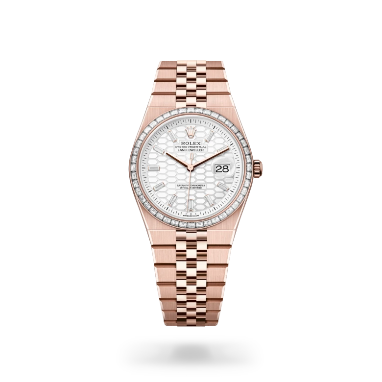 Rolex Land-Dweller in 18 ct Everose gold, M127285TBR-0002 - Langfords Jewellers