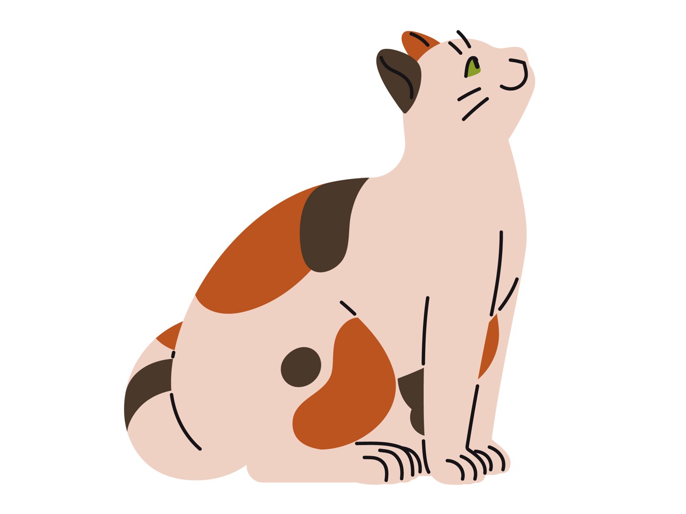 Eine Katze sieht nach oben.