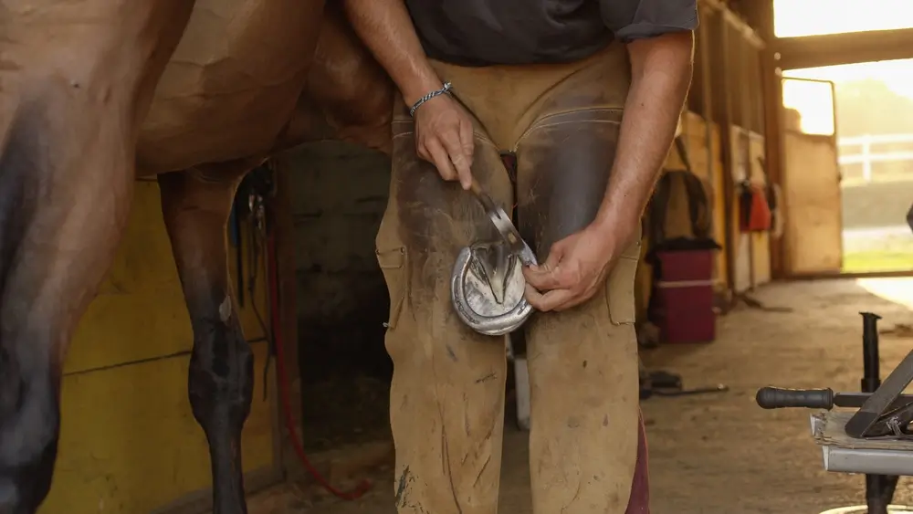 Un maréchal-ferrant en tablier de cuir est en train de travailler sur le sabot d'un cheval, tenant un fer à cheval avec un outil. La scène se déroule à l'intérieur d'une écurie ou d'un atelier.