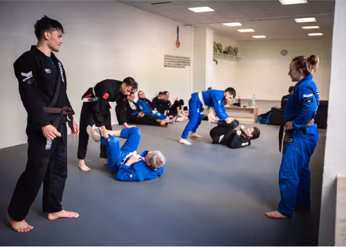 Jiu-Jitsu students in blue and black gis training together in a class