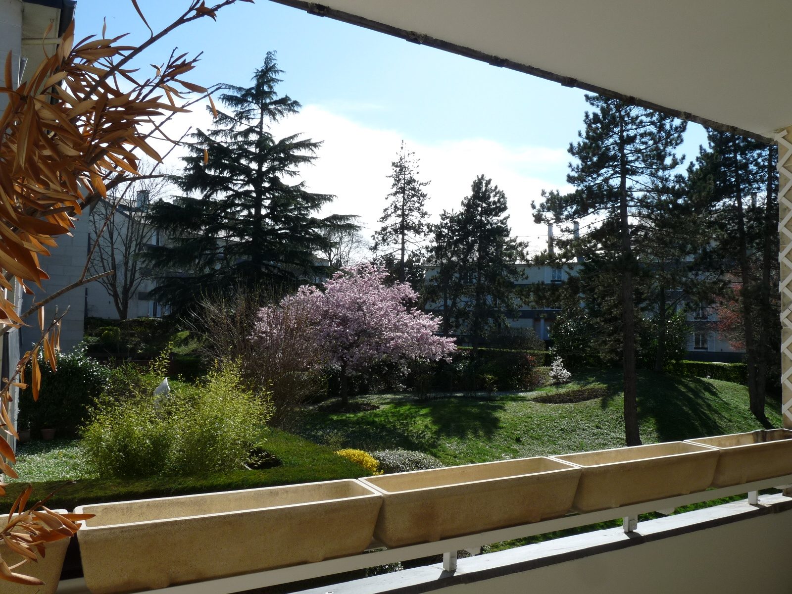 Images bien immobilier Louveciennes