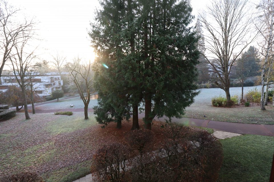 Images bien immobilier Louveciennes