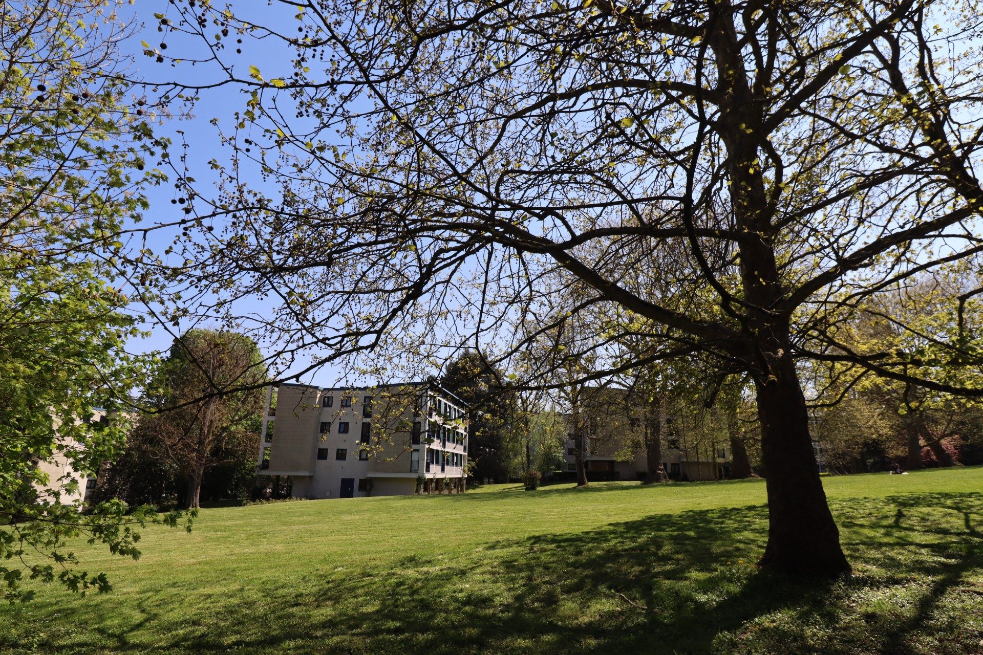 Appartement LOUVECIENNES | 80m² - Louveciennes