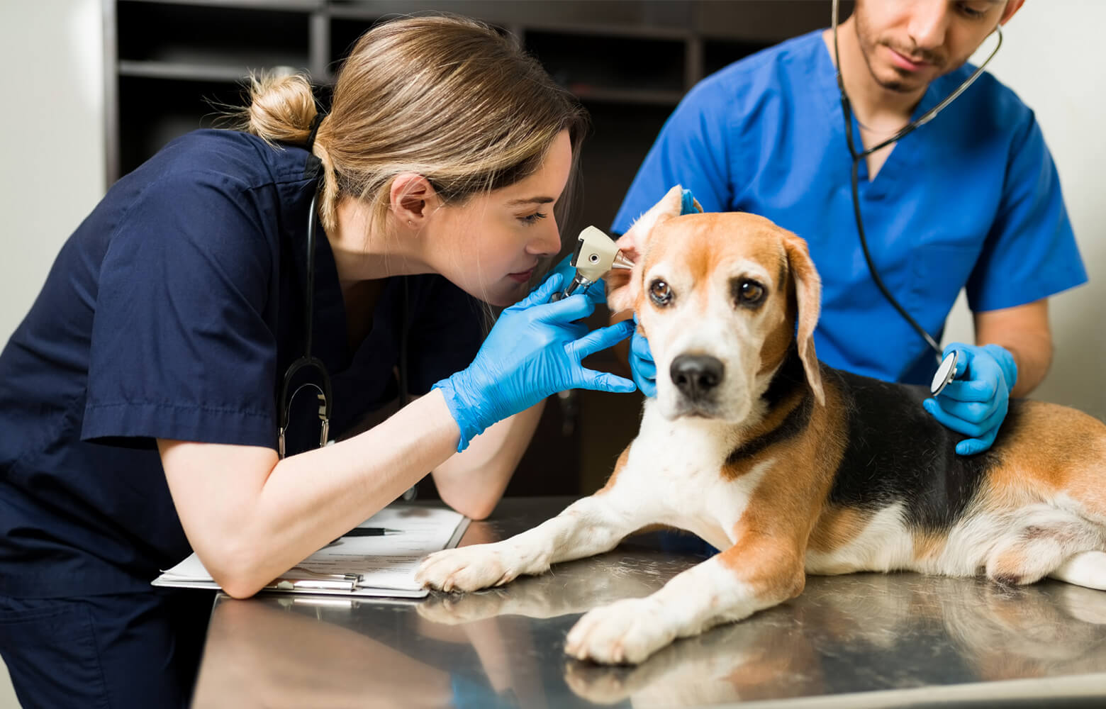 3 jeunes en blouse blanche