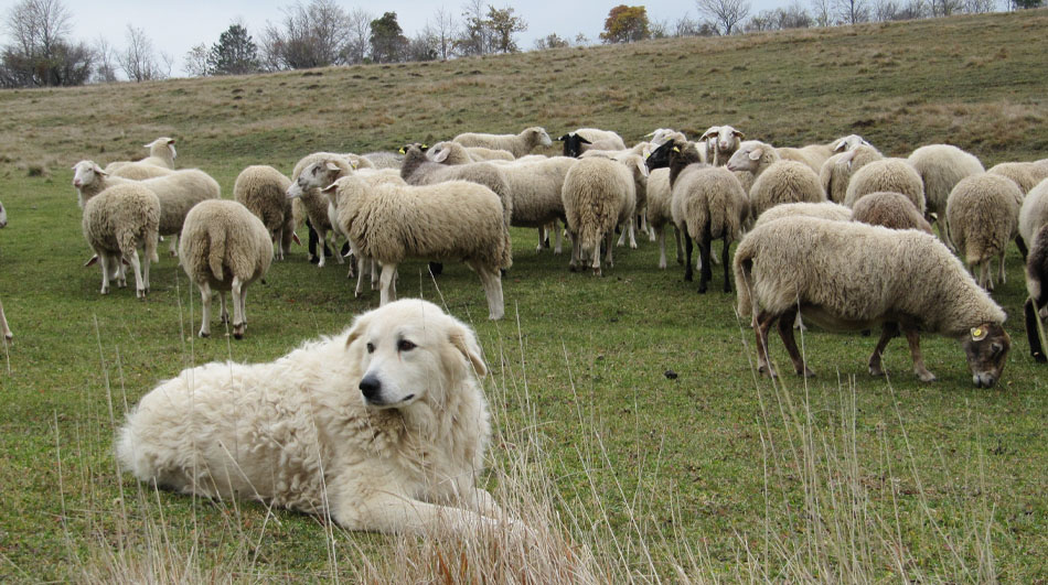 homme et femme en blouse bleu