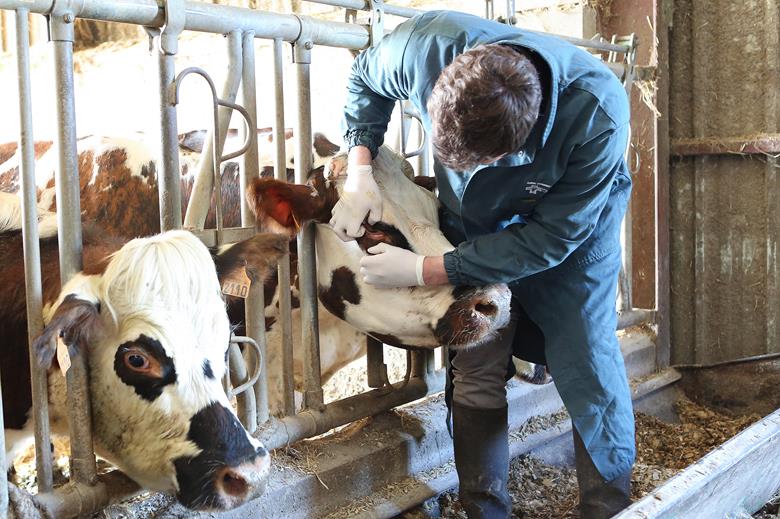 Homme et femme regardant un mobile