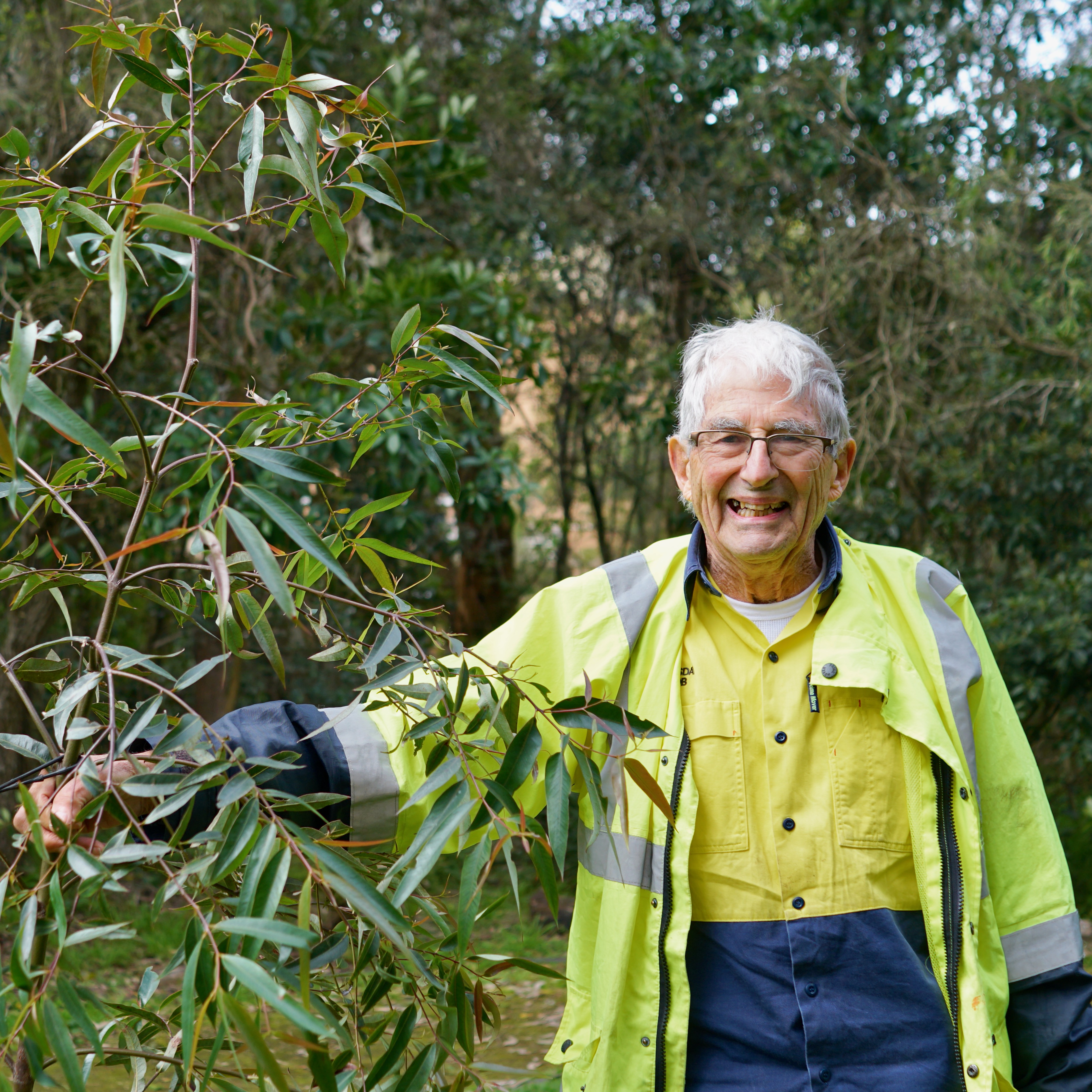 ABC Newcastle Saturday Breakfast : Garden Rambles 2025 - EPISODE 18 BIRD GARDENS