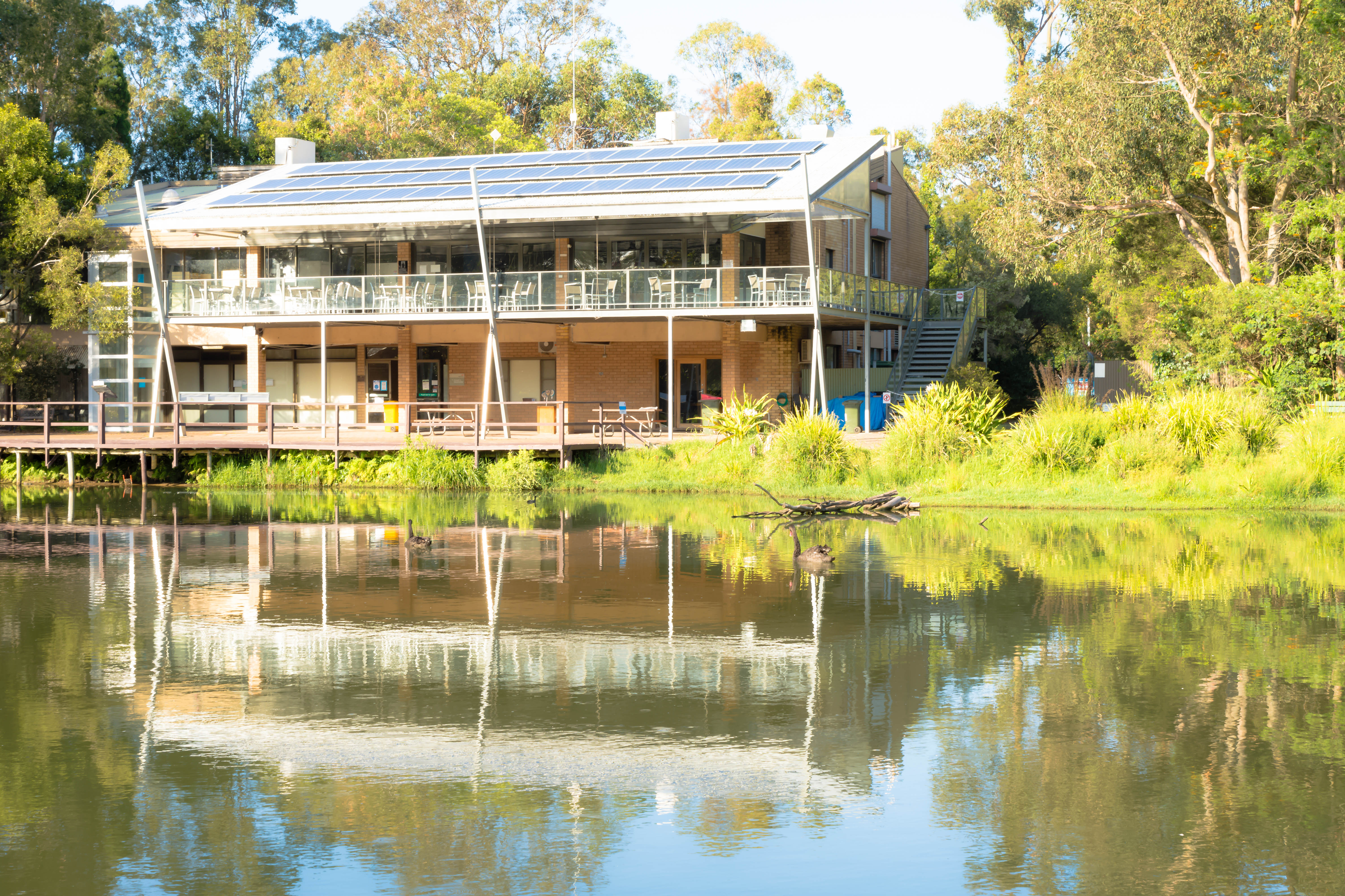 BHP Pond Water Quality Testing