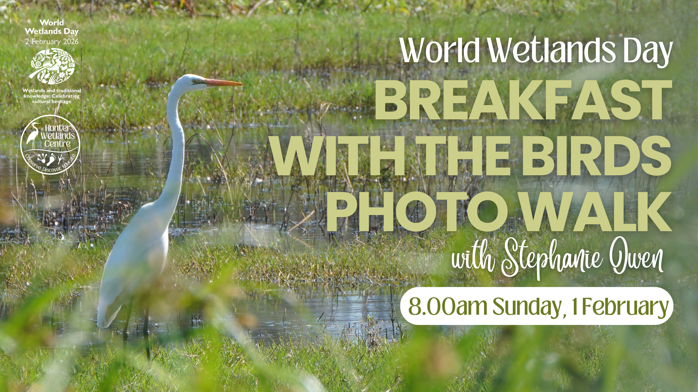World Wetlands Day Breakfast with the Birds Photography Tour