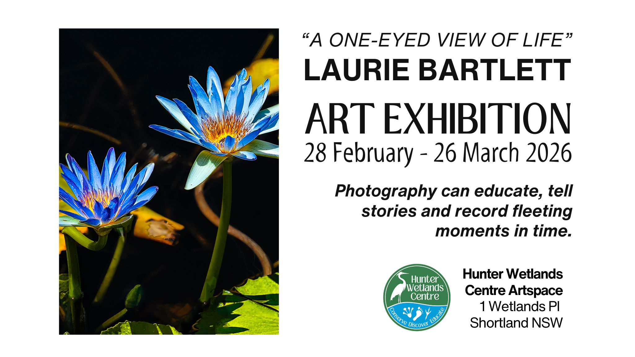 Art Exhibition: Laurie Bartlett